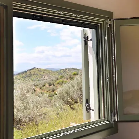 Little House In The Olive Grove *