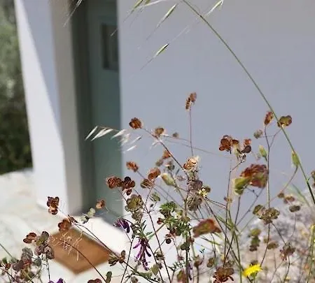 Apartmán Little House In The Olive Grove *