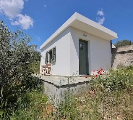 Little House In The Olive Grove